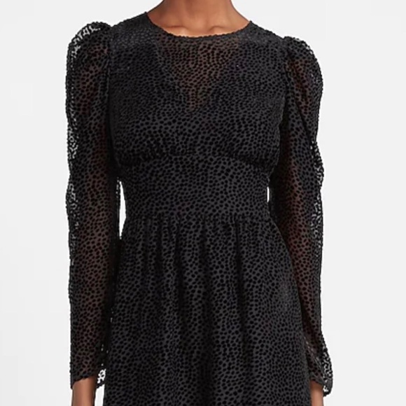 Express Velvet Puff Sleeve Fit and Flare Dress - Picture 3 of 7